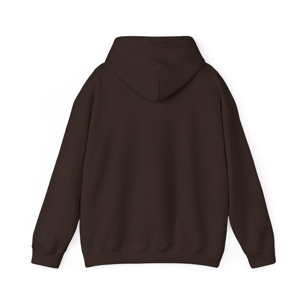 Pompeii Last Seen Online in 79 AD History Hoodie