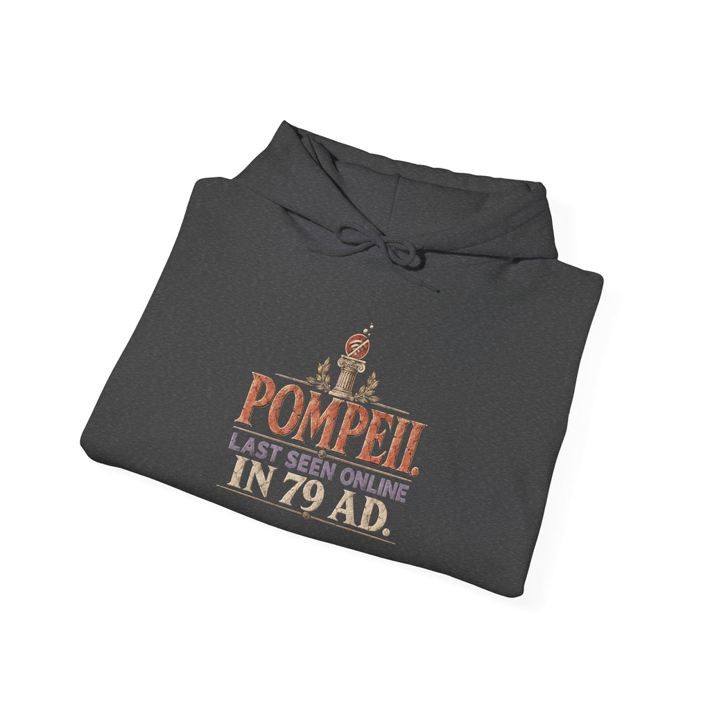 Pompeii Last Seen Online in 79 AD History Hoodie