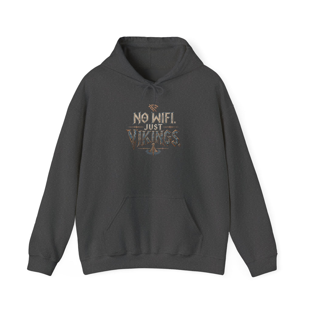 No Wifi Just Vikings Hoodie