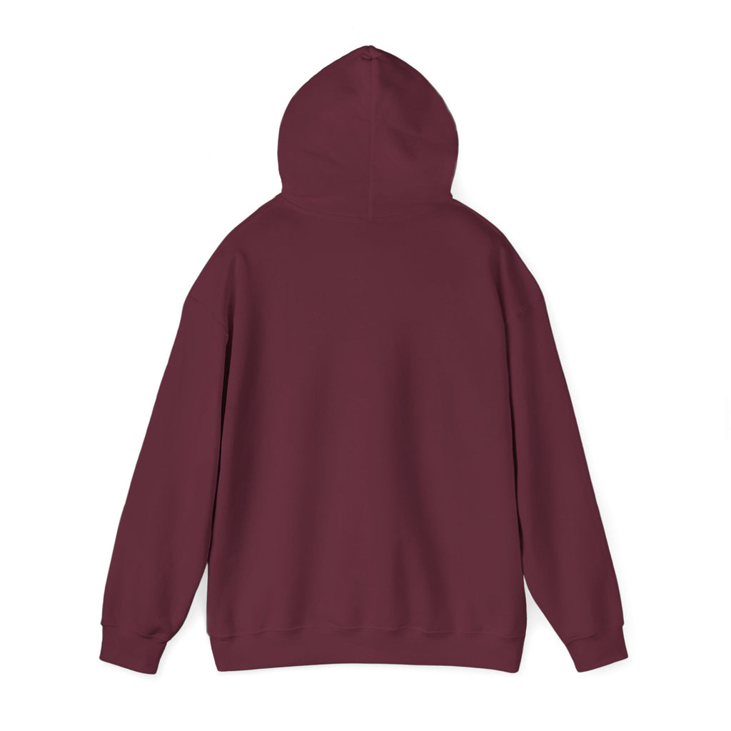 Pompeii Last Seen Online in 79 AD History Hoodie