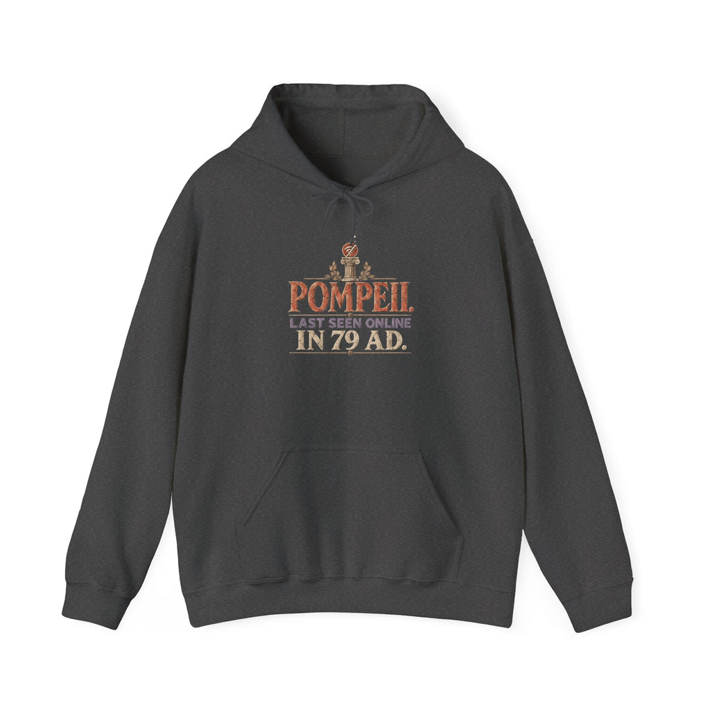 Pompeii Last Seen Online in 79 AD History Hoodie
