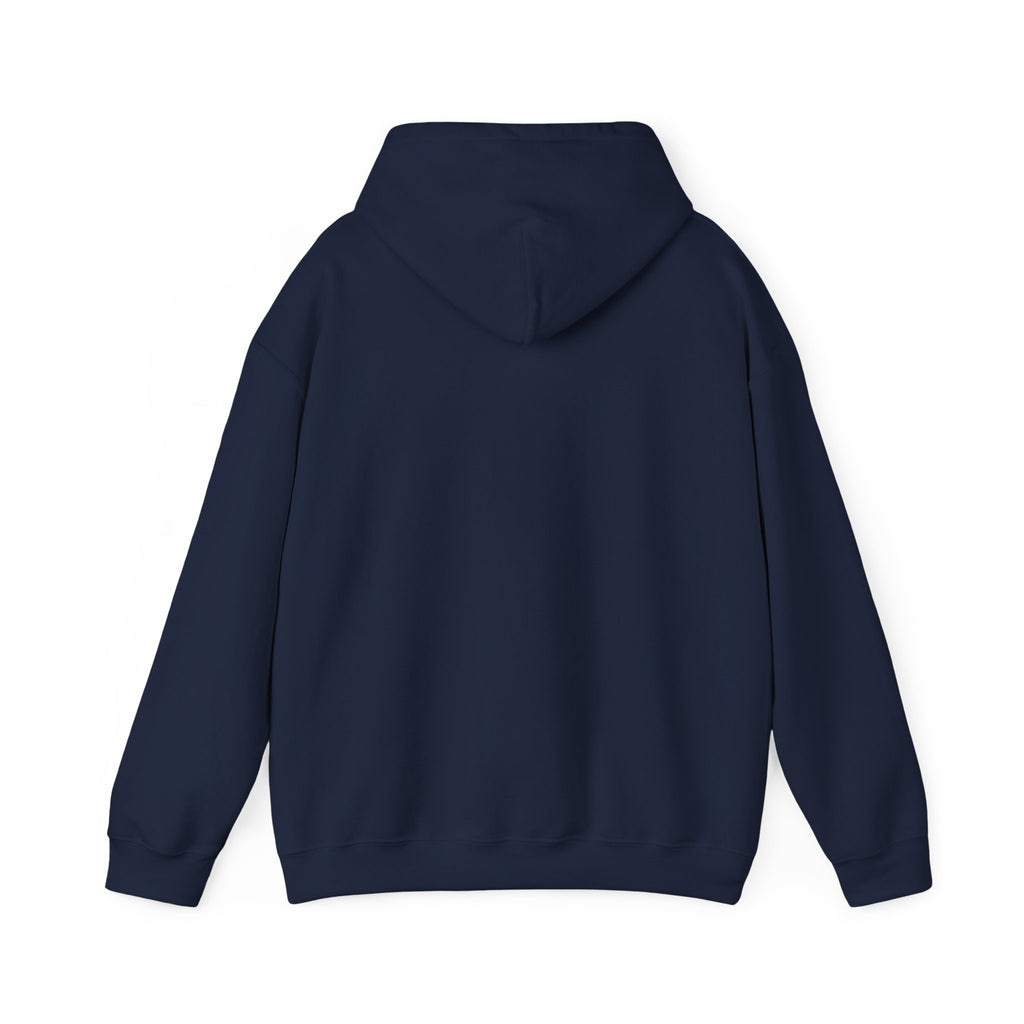 Pompeii Last Seen Online in 79 AD History Hoodie