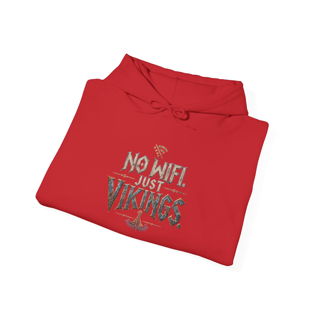 No Wifi Just Vikings Hoodie