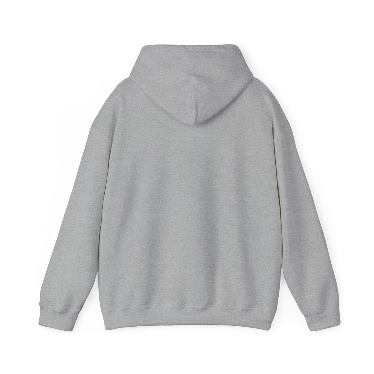 Pompeii Last Seen Online in 79 AD History Hoodie
