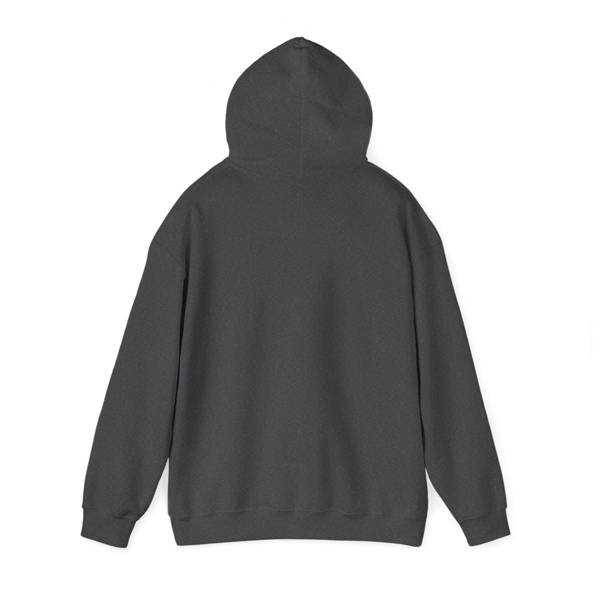My Gladiator Days Are Over Hoodie