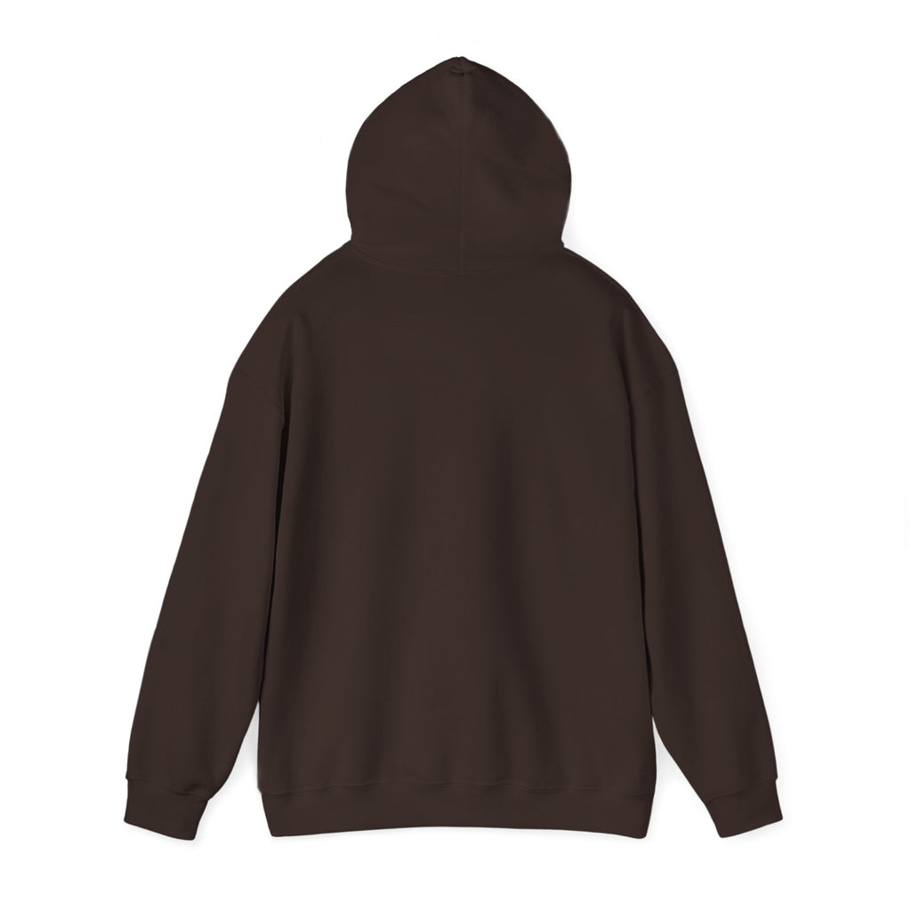 My Gladiator Days Are Over Hoodie