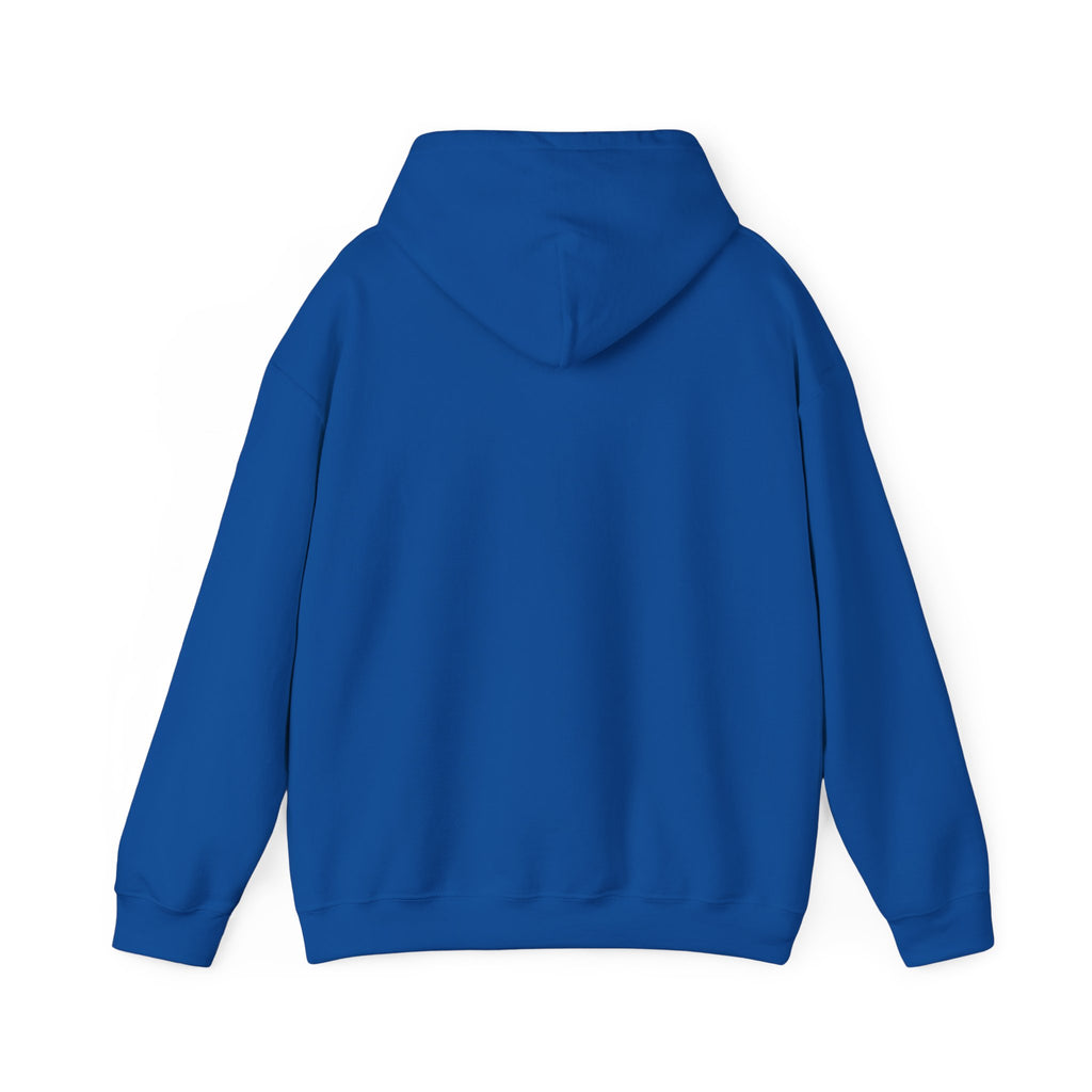 I Came, I Saw, I Overslept Hoodie
