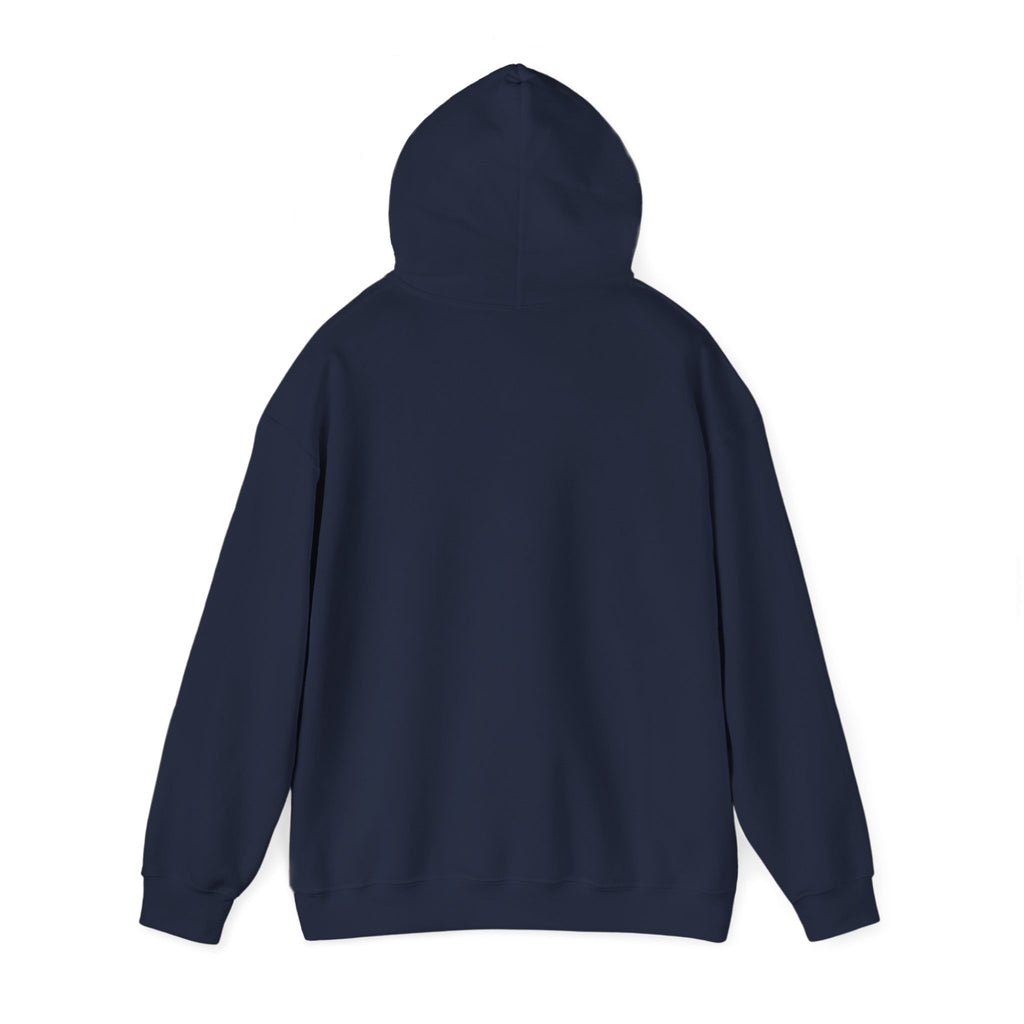 Pompeii Last Seen Online in 79 AD History Hoodie