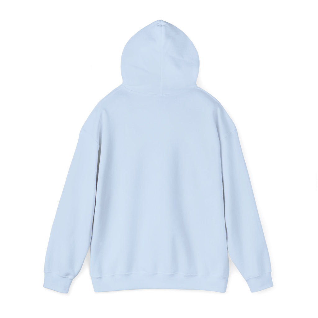 No Wifi Just Vikings Hoodie