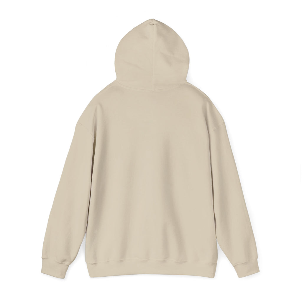 Pompeii Last Seen Online in 79 AD History Hoodie