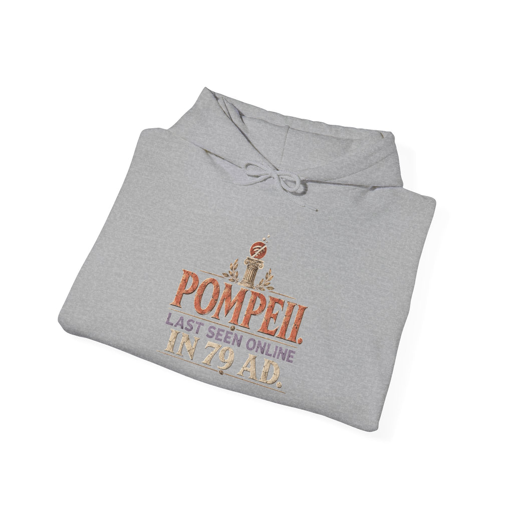 Pompeii Last Seen Online in 79 AD History Hoodie
