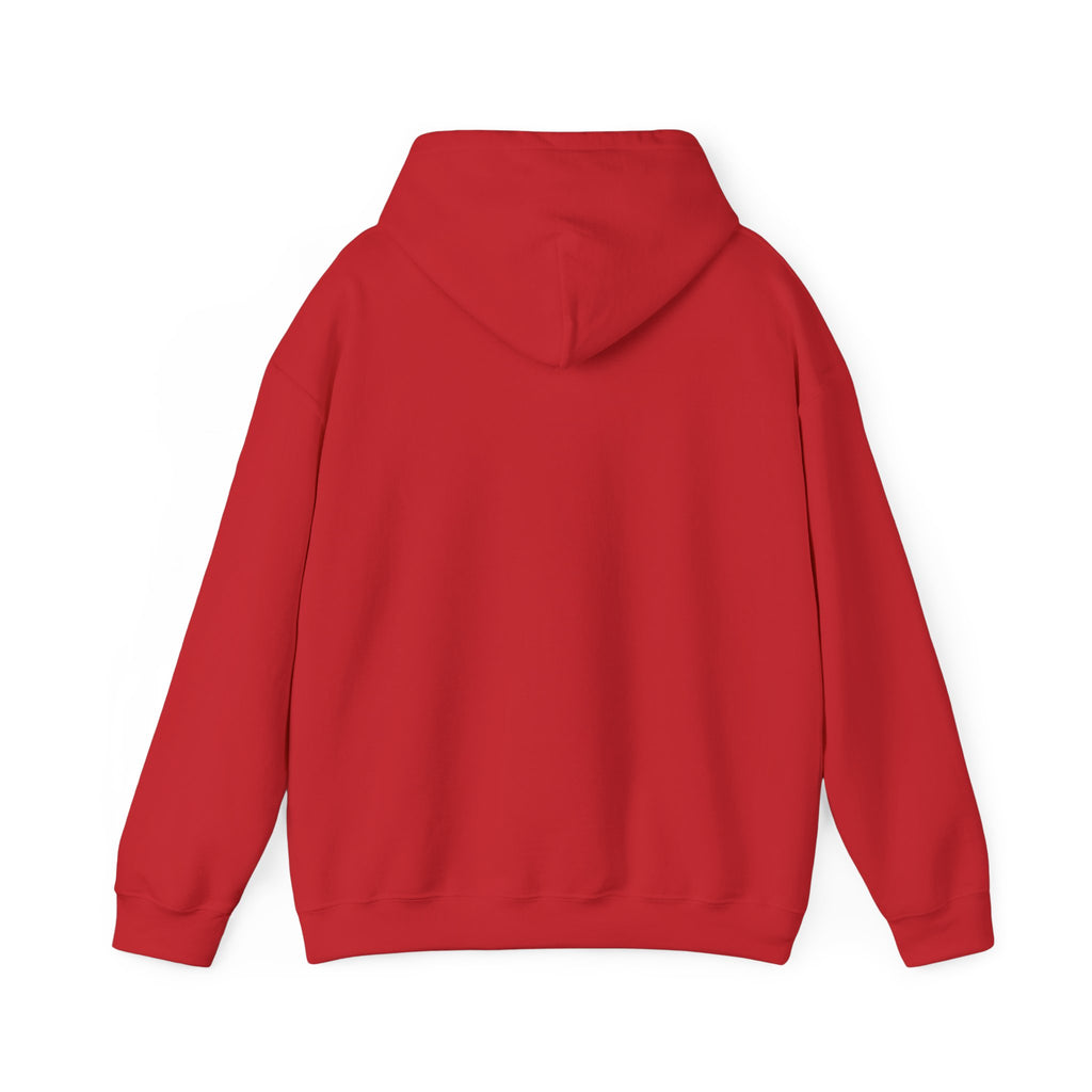 Pompeii Last Seen Online in 79 AD History Hoodie