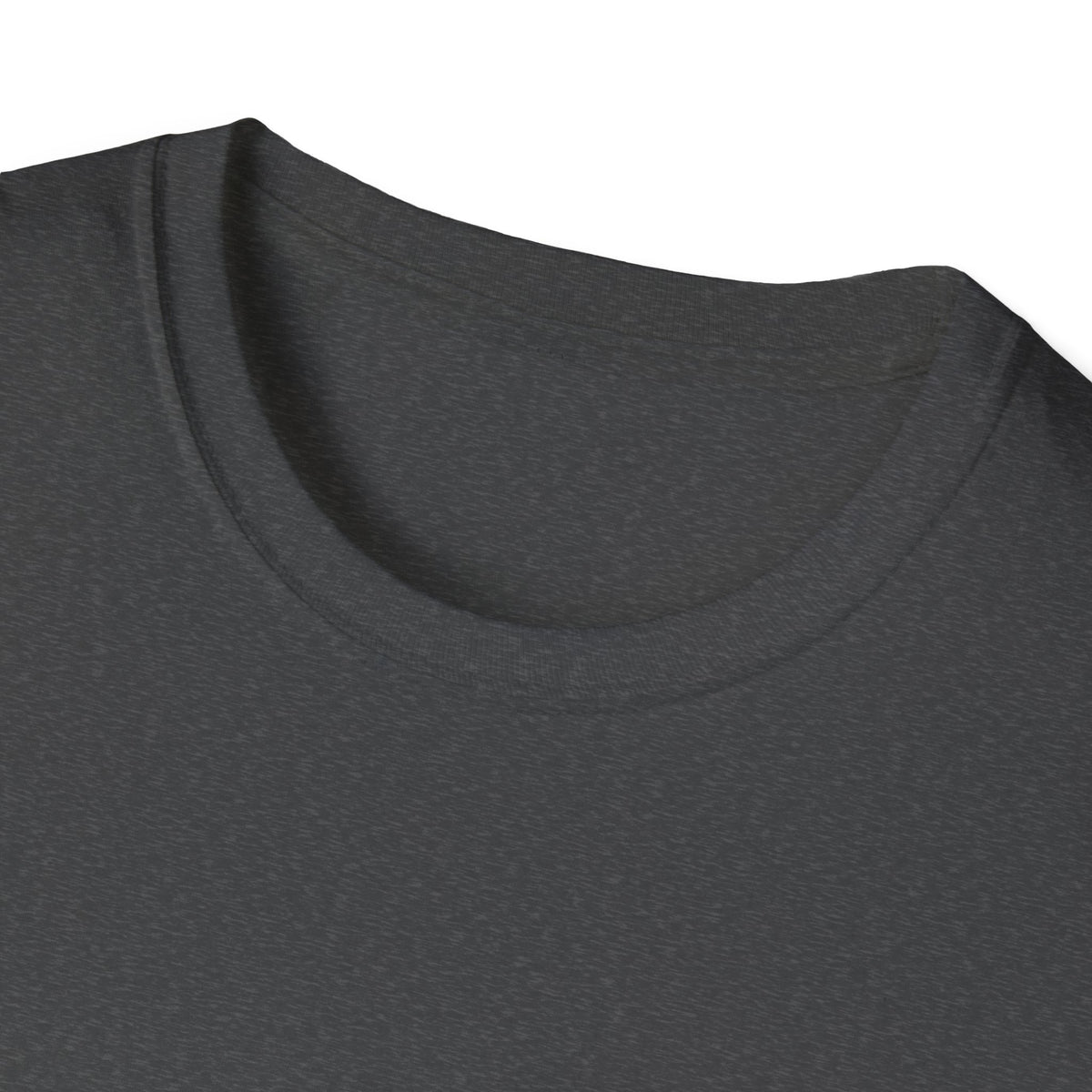I Came, I Saw, I Neverthgilt Graphic T-Shirt