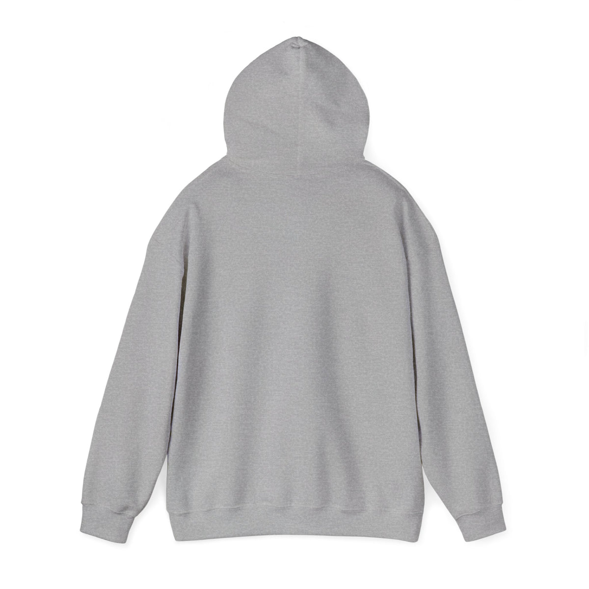 Pompeii Last Seen Online in 79 AD History Hoodie