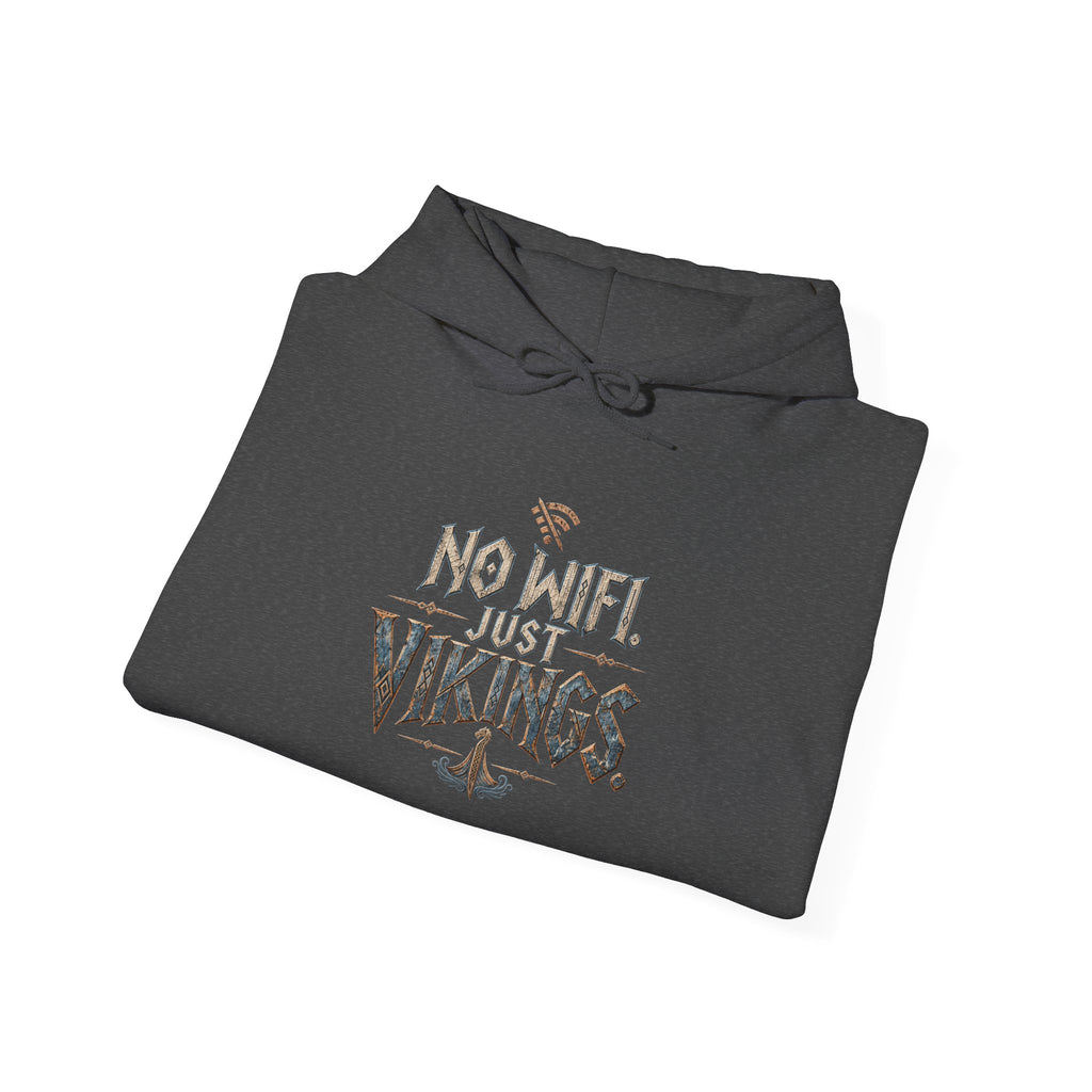 No Wifi Just Vikings Hoodie