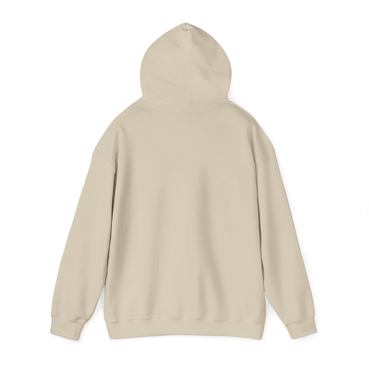 No Wifi Just Vikings Hoodie